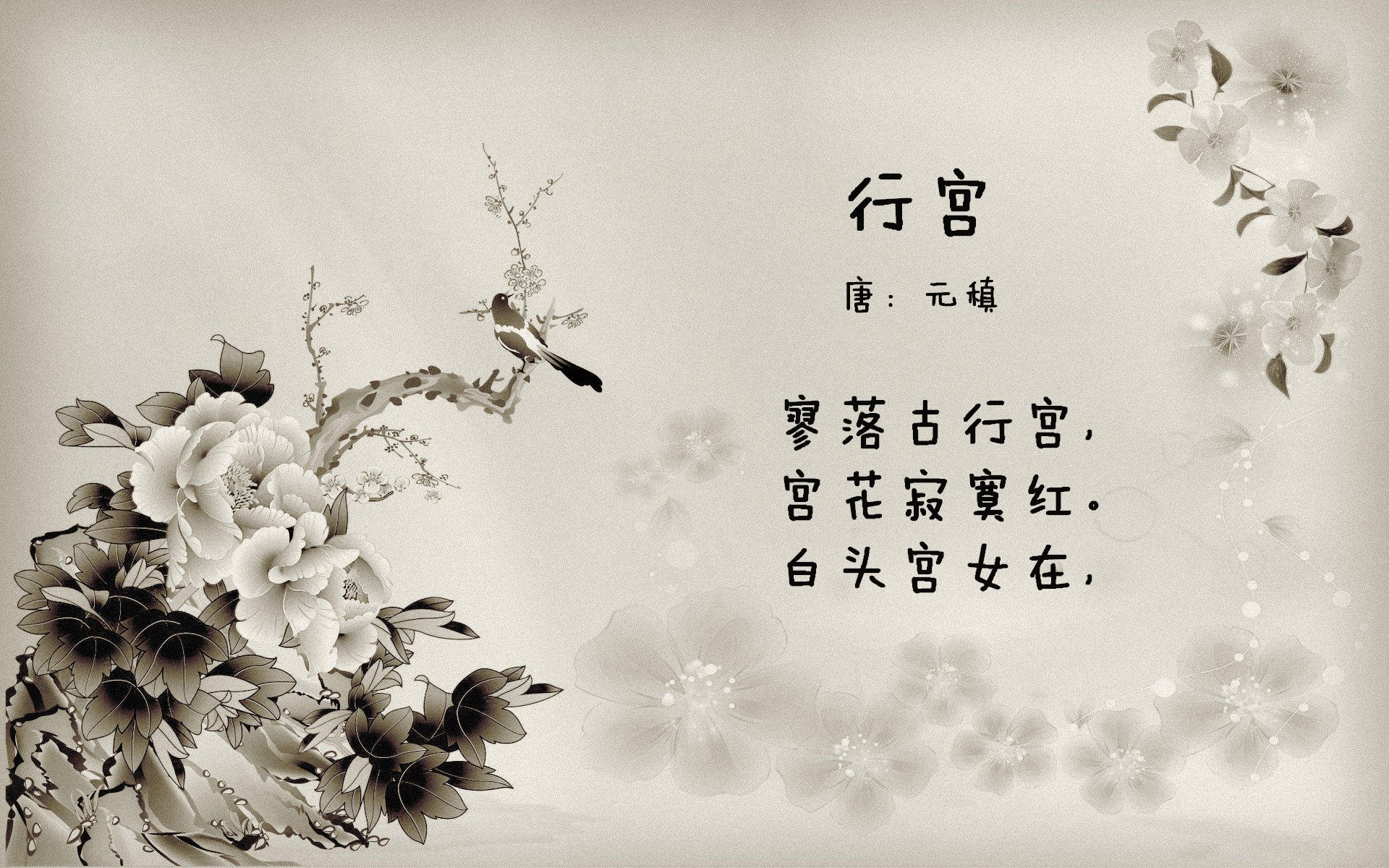 捷克国家队备战计划精密，备战欧锦赛，捷克欧预赛