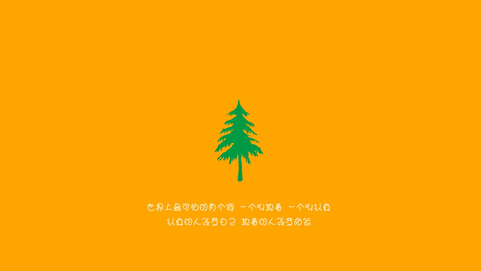 精彩纷呈的足球盛宴，女子比赛激情澎湃，女子足球大赛