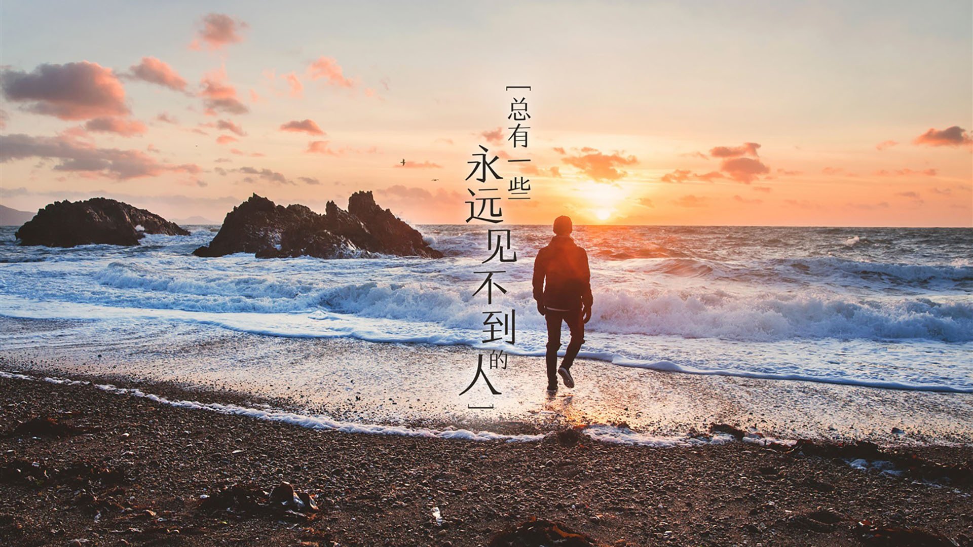 体育教师胜任力模型构建与测评系统设计，体育教师能力结构
