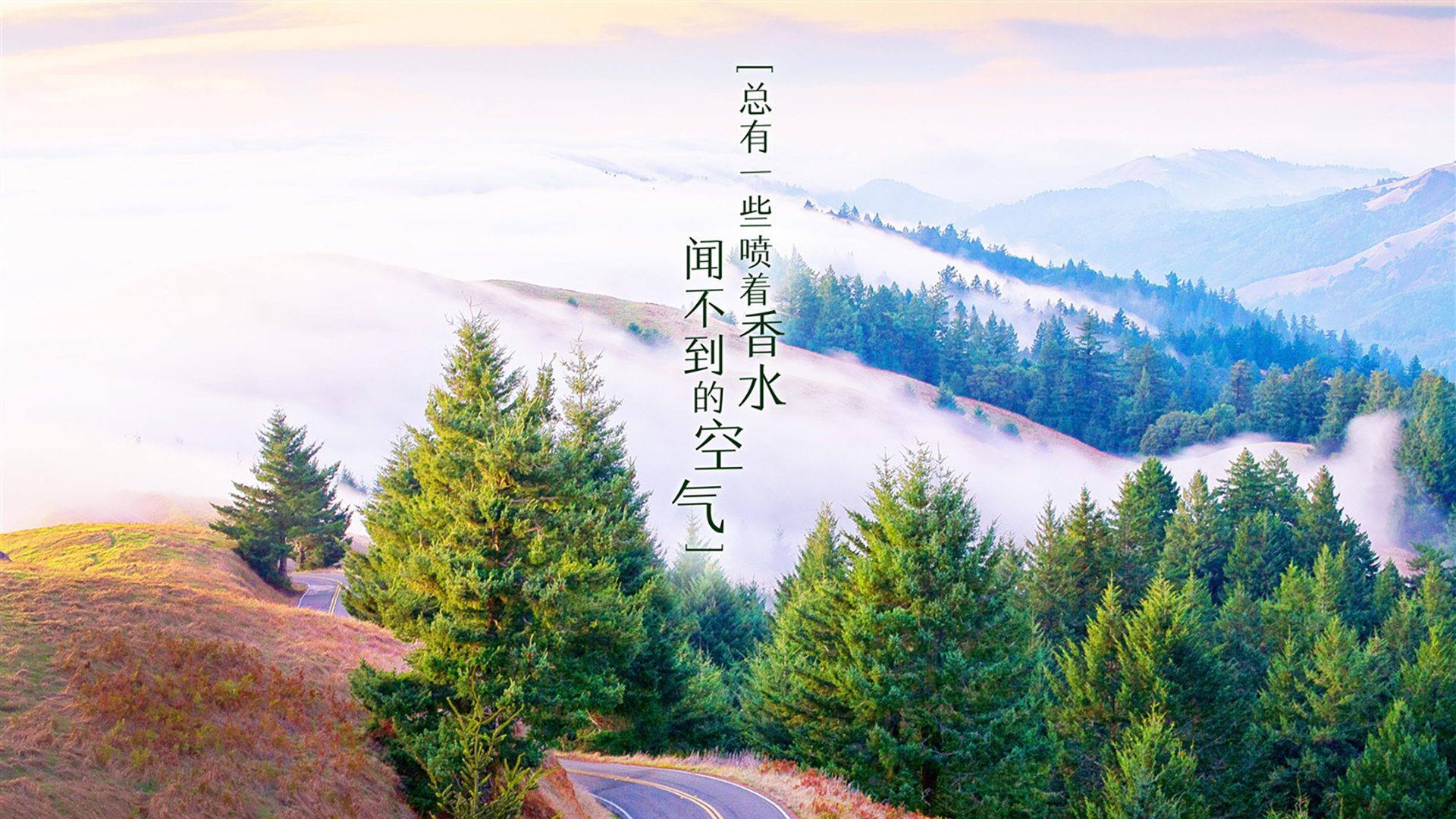 大数据评估系统应用于训练对抗模拟，大数据评估报告